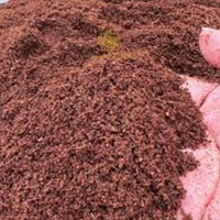 Poudre de tourbe de coco biologique, catégorie granulés de bois, maintenant disponible à la vente