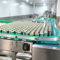 ENAK Eenvoudige bediening Volledig automatische productielijn voor ingeblikt fruit en voedsel, turnkey oplossing