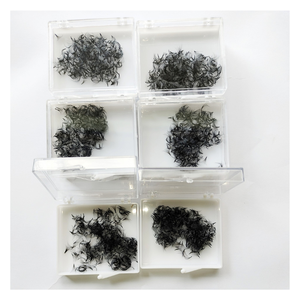 Service OEM d'extensions de cils naturels préfabriqués 12D du Vietnam avec emballage de plateau de beauté Vente en gros - Product Image 4