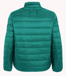 Women's Fashion Breathable Quality Puffer <b>Jacket</b> Solid <b>Pattern</b> Printed Technics Winter Warm Outdoor Clothing with Hooded Collar - Product Image 4