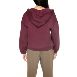 Sweat-shirt à capuche pour femme, vêtements de sport d'hiver, uni, manches longues, cordon de serrage, poche zippée brodée, streetwear personnalisé sur le devant - Product Image 3