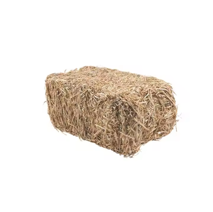 High Nutritional Value Natural Alfalfa Hay Dried <strong>Animal</strong> <strong>Feed</strong> for Cattle Pigs Horses Rich in Protein and Corn Gluten Meal - Product Image 4