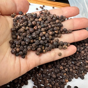 Semillas de Pimienta Negra Esterilizadas al Vapor (550G/L) Pimienta Negra Poivre Noir Pepe Nero Sterilizzato Vietnamien Vietnam/ ANNA DO VILACO - Product Image 1