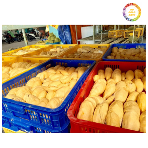 Durian congelado producido a partir de 100% fruta Durian natural, adecuado para venta al por mayor, al por menor y suministro de alimentos congelados, Vietnam - Product Image 3