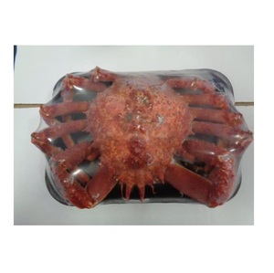 Cangrejo Araña Congelado BQF - 20 kg, Proveedor Mayorista a Granel, Origen EE. UU. - Product Image 3