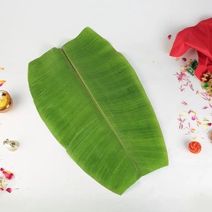 ใบกล้วยสีเขียวใบกล้วยสีเขียวส่งออกจากเวียดนาม - Product Image 6