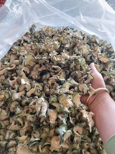 ค้นพบประโยชน์ต่อสุขภาพหวานของแตงโมฤดูหนาวแห้ง-อาหารว่างที่สมบูรณ์แบบสำหรับทุกวัย - Product Image 2