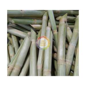 อ้อยแช่แข็งแบบแท่งจากเวียดนาม - Product Image 2