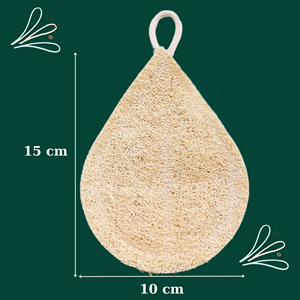 ฟองน้ำล้างจานขนาดใหญ่ทรงบวบสำหรับแปรงอาบน้ำฟองน้ำและที่ขัด - Product Image 3