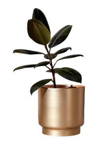 Maceta y maceta de metal dorado para interiores de 8 pulgadas para uso doméstico y en el jardín - Product Image 4