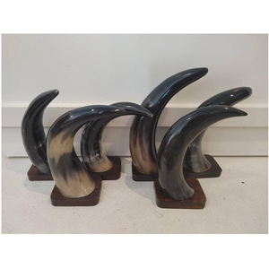 Corne décorative de buffle au design moderne avec support en bois et bordure en laiton, vaisselle élégante, corne décorative pour boire - Product Image 1