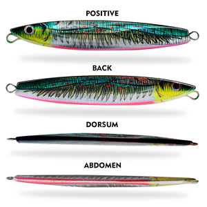 NOUVEAU MAJOR Leurre <span class=keywords><strong>de</strong></span> pêche au jigging en plomb 12cm 78g Jerkbait Sardine imprimée en 3D Appât artificiel dur pour la pêche en <span class=keywords><strong>eau</strong></span> douce et salée - Product Image 4