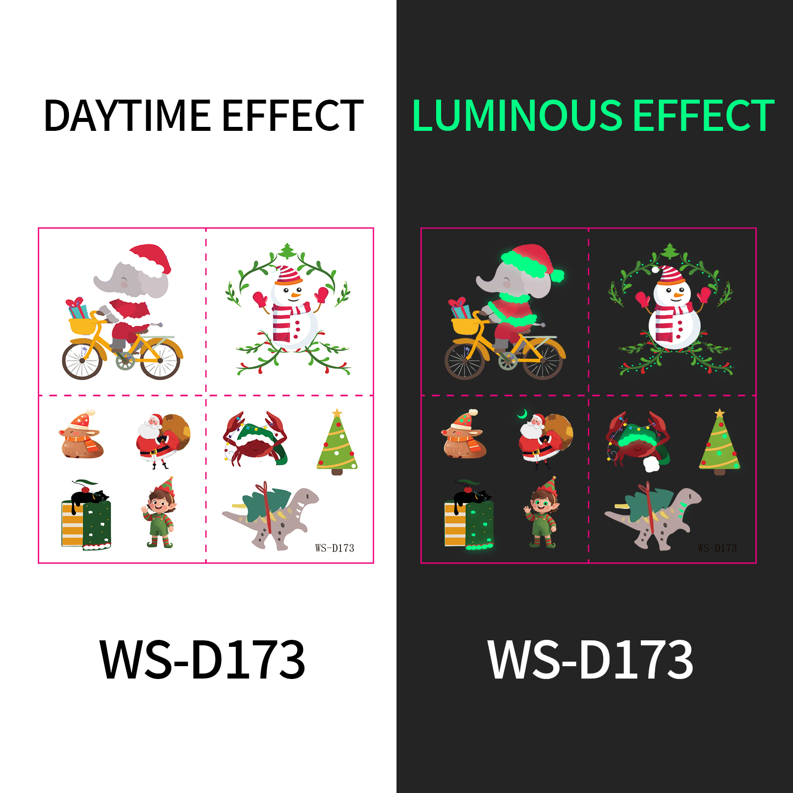 WS-D173