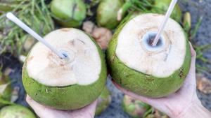 Cocos verdes frescos con agua de coco pelada, dos extremos recortados para exportar desde Vietnam - Product Image 5