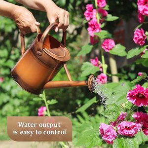 Arrosoir en métal Elegance pour votre jardin Nourrir la nature L'arrosoir en métal classique - Product Image 2