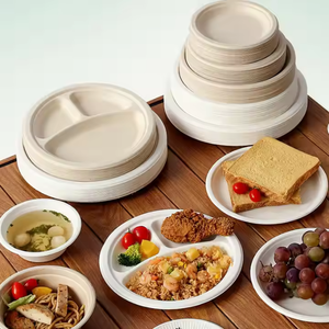 Assiette jetable 9 pouces 3 compartiments 100% biodégradable écologique durable fabriqué à partir de plantes au Vietnam produit OEM - Product Image 6