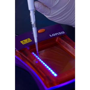 Marcador de ADN Lonza FlashGel Aplicación química OEM personalizable - Product Image 1