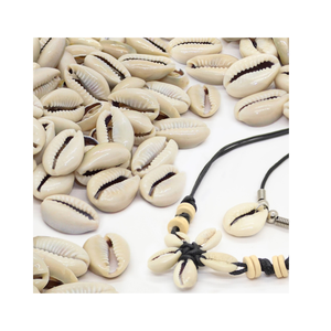 Concha de Caracol Vietnamita de Gran Tamaño, Tamaño 7-9 cm, Disponible en Stock, Conchas de Caracoles Pulidas para Manualidades y Festivales a Partir de 99 GD - Product Image 1