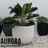 Pots de fleurs pour la décoration de la maison et du jardin avec un Design de Style moderne et une forme de taille personnalisée, fabriqués au Vietnam