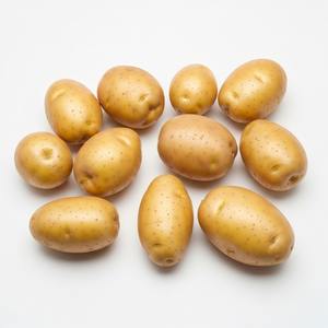 Wholesale <b>Fresh</b> <b>Potatoes</b> Premium Quality Bulk Export Suitable for Cooking Boiling Frying Food Processing Retail and Export - Product Image 1