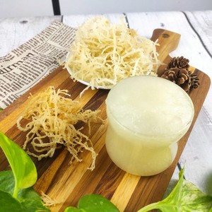 สาหร่าย Eucheuma cottonii มอสทะเลดิบเพื่อสุขภาพส่งออกจากโรงงานเวียดนาม - Product Image 3