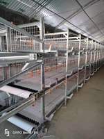 Équipement de ferme avicole de Type H Poulailler, cage à poulets pour bébés poussins cage d'élevage de poules pour poussin