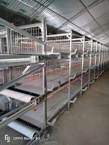 Tipo di attrezzature per allevamento di pollame, gabbia di pollo per bambini - Product Image 4