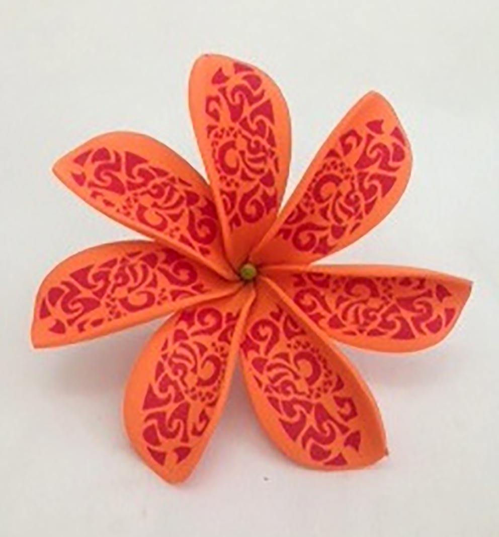 S404: สีส้ม