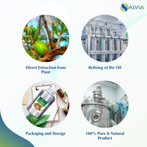 Huile essentielle d'argan biologique pure en vrac en gros pour les soins capillaires et la peau 100% naturel pressé à froid fournisseur exportation de l'Inde - Product Image 4