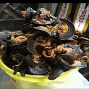 หอยทากแอฟริกันแห้งธรรมชาติจำนวนมากสำหรับการส่งออก เนื้อหอยทากที่ผ่านกระบวนการอย่างพิถีพิถันเพื่อการบริโภคสำหรับตลาดอาหารนานาชาติ - Product Image 1
