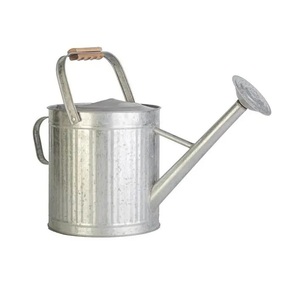 Arrosoir galvanisé pour plantes d'extérieur avec bec amovible, arrosoir en métal parfait pour plantes d'intérieur et fleurs de jardin - Product Image 2
