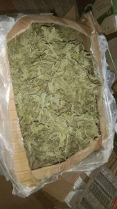 TÉ DE MENTA SECO DE ALTA CALIDAD LEAVE DE MENTA HOJA DE HIERBAL DE VIETNAM BLUE LOTUS MS AMELIA + 84855014447 - Product Image 5