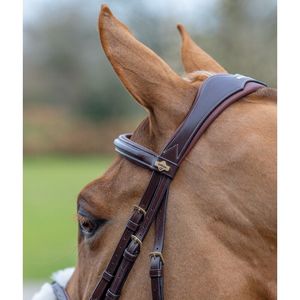 กรงม้าเกรคเกิล สีดําพร้อมรายละเอียดกรงม้า กรงม้าหนังแท้สีสันสดใสในอินเดีย - Product Image 4