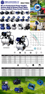 Pompes à eau automatiques à jet en acier inoxydable haute pression 1000W pour jardin maison 1.25HP pompe de station de suralimentation domestique avec réservoir - Product Image 5