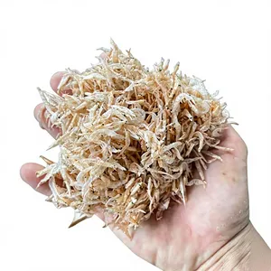 VAN BACH TUNG Camarones Secos de Vietnam 1kg envasados al vacío, 12+ meses de duración, conservar en lugar fresco y seco, listos para usar, 100% Premium Natural OEM - Product Image 1