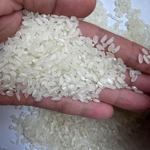 High Quality <b>Organic</b> Jasmine White <b>Rice</b> Long Grain 1121 Sella Soft Texture Basmati Alternative Cheap Price - Product Image 5