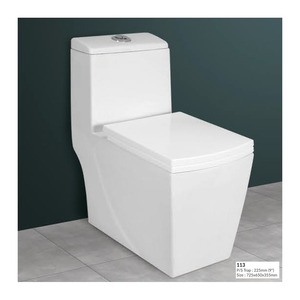Modern One Piece Toilet Bowl Soft Close <b>Seat</b> Washdown S Trap WC - Product Image 2