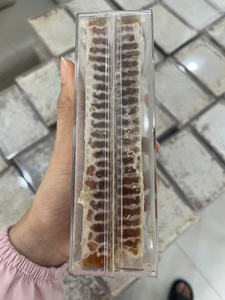 Miel en nid d'abeille, article d'exportation en vrac, forme stable et ton doré attrayant pour les programmes de vente en gros mondiaux - Product Image 2