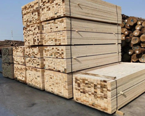 Madera de Álamo - Diseño Industrial, Resistente al Agua y Ecológica, Garantía de 2 Años de Alberta, en Venta - Product Image 5