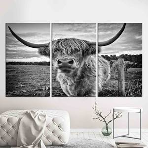 Impresión en lienzo de vaca de las Tierras Altas: elegante decoración de granja con ganado Longhorn, JUEGO DE 3 LIENZOS - Product Image 1