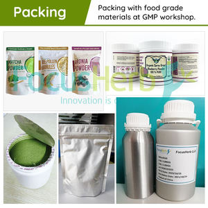 Focusherb ผงเทอร์โรน40% 1% Ajuga 2% อาหารสกัดจากพืช - Product Image 5