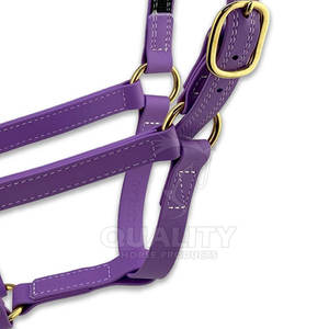 Cabestro de caballo resistente con banda para la nariz acolchada suave y corona para mayor comodidad y control Cabestro de caballo - Product Image 3