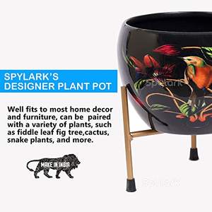 Maceta de Metal Negra con Soporte para Plantas de Interior, Moderna y Minimalista para Hogar y Oficina - Product Image 4