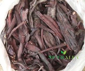 สมุนไพรรากอัลคาเนท - Product Image 1