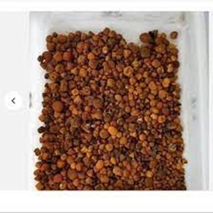 ผู้ส่งออกนิ่ววัววัว - Product Image 4