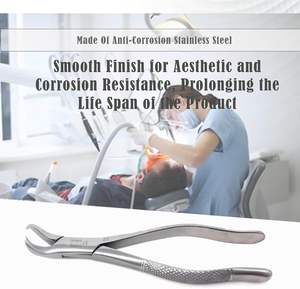 คีมสกัดสแตนเลสเยอรมันแบบอังกฤษสำหรับทันตแพทย์ - Product Image 6