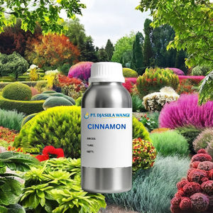 Precio al por Mayor de Extracto de Canela Dulce, Cinnamaldehído, Aceite de Corteza de Canela, 1 kg - Product Image 3