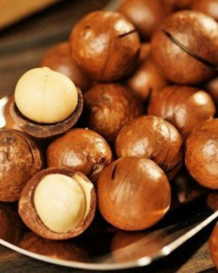 Noix de Macadamia Premium du Vietnam Qualité pour l'Exportation - Product Image 1