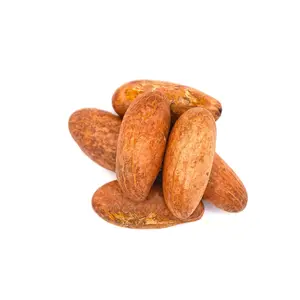 Bán buôn giá rẻ Nhà cung cấp giá đắng kola Nuts / Garcinia kola