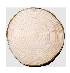 Madera de Abeto de Noruega a Granel Barata Disponible, Troncos y Maderas de Primera Calidad para Carpintería, Construcción, Muebles y Artesanías - Product Image 6